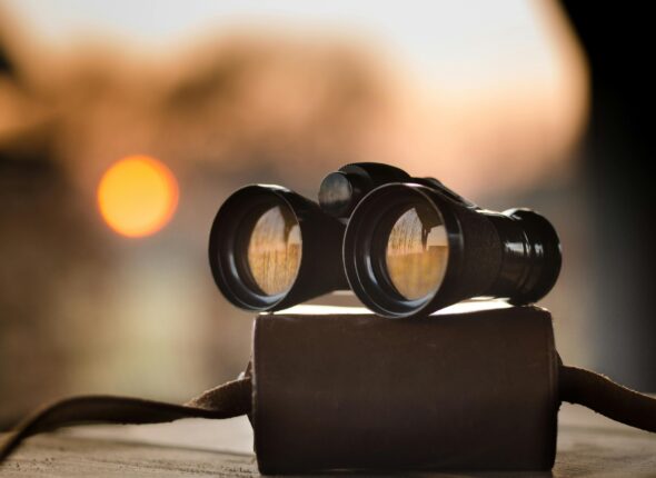 Observation